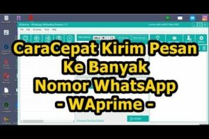 Terungkap Cara Promosi Pulsa Lewat Wa Wajib Kamu Ketahui