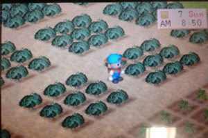 Terungkap Cara Cepat Kaya Di Harvest Moon Back To Nature Wajib Kamu Ketahui