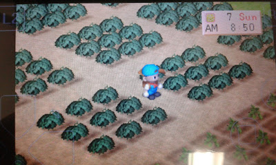 Terungkap Cara Cepat Kaya Di Harvest Moon Back To Nature Wajib Kamu Ketahui