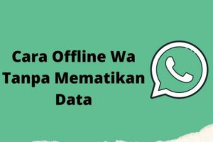 Terbongkar! Cara Offline Whatsapp Tanpa Mematikan Data Iphone Wajib Kamu Ketahui