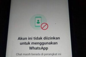 Dahsyat! Akun Tidak Diizinkan Menggunakan Whatsapp Wajib Kamu Ketahui