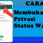 Terbongkar! Cara Wa Gb Anti Privasi Status Terpecaya