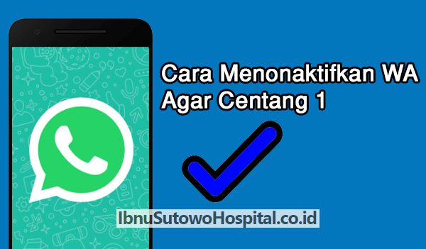 Cara Menonaktifkan WA agar Centang 1 Agar Terlihat Selalu Offline