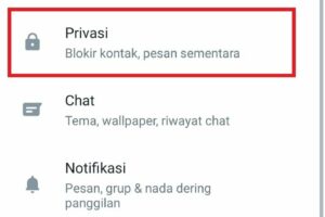 Hebat! Cara Membuat Whatsapp Centang Abu Abu Wajib Kamu Ketahui