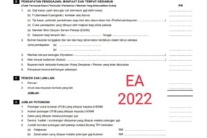 Simak! Cara Isi E Filing Ea Form Wajib Kamu Ketahui