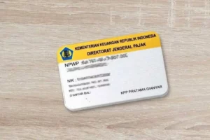 Inilah Panduan Daftar Npwp Pribadi Online Wajib Kamu Ketahui