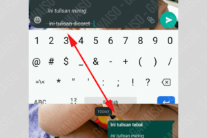 Rahasia Cara Forward Whatsapp Gambar Dan Tulisan Terpecaya