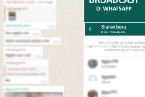 Wow! Cara Buat Broadcast Di Whatsapp Business Terpecaya