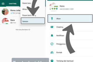 Simak! Cara Whatsapp Tidak Centang Biru Terbaik