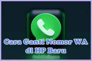 Hebat! Cara Ganti Whatsapp Ke Hp Baru Wajib Kamu Ketahui