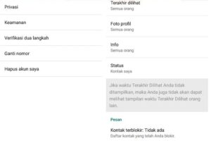 Terungkap Tutorial Whatsapp Offline Padahal Online Terpecaya