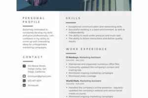 Wow! Cara Menulis Freelance Di Cv Wajib Kamu Ketahui