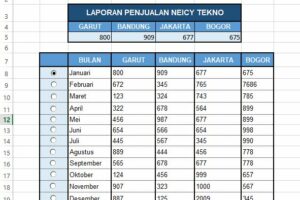 Penting! Cara Download Laporan Penjualan Tokopedia Wajib Kamu Ketahui