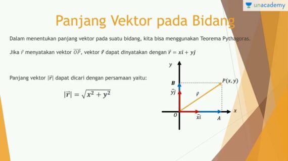 Inilah Dalam Membuat Gambar 3 Dimensi Kita Dapat Memproyeksikan Terpecaya