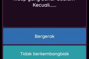 Inilah Cara Membuat Kelas Di Quizizz Wajib Kamu Ketahui