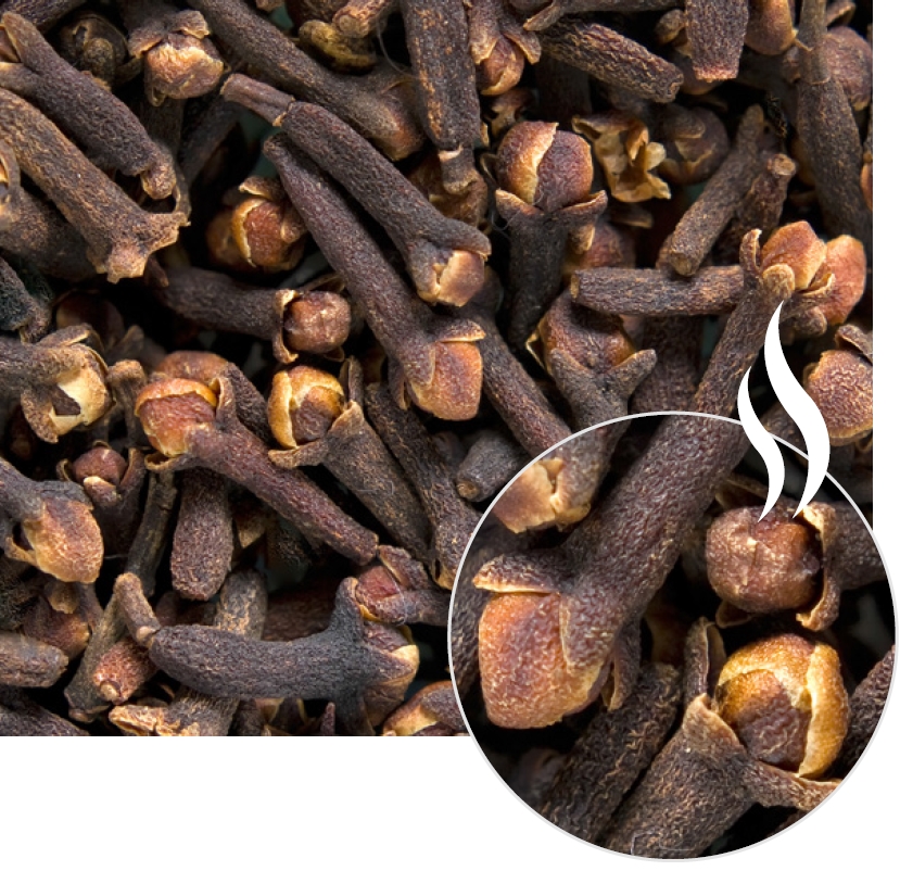 Cengkih - Natural Java Spice