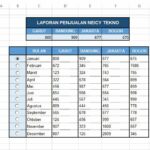 Terungkap Contoh Laporan Penjualan Bulanan Excel Wajib Kamu Ketahui