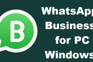 Dahsyat! Whatsapp Business Download For Pc Windows 10 Terbaik