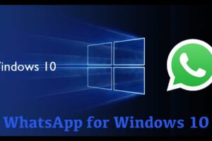 Terungkap Whatsapp Business Download For Pc Windows 10 64 Bit Terbaik